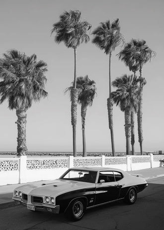 Pontiac GTO Coastal Vintage Wall Art Poster – Palm Tree Seaside Photograph