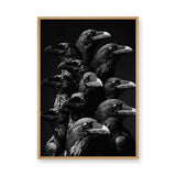 Raven Photography Modern Wall Art Print – Dark Black and White Bird Cluster