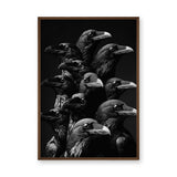 Raven Photography Modern Wall Art Print – Dark Black and White Bird Cluster