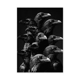 Raven Photography Modern Wall Art Print – Dark Black and White Bird Cluster