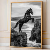 Rearing Horse Coastal Wall Decor – Black and White Seaside Cliff Print