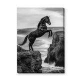 Rearing Horse Coastal Wall Decor – Black and White Seaside Cliff Print
