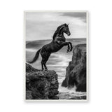 Rearing Horse Coastal Wall Decor – Black and White Seaside Cliff Print
