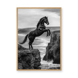 Rearing Horse Coastal Wall Decor – Black and White Seaside Cliff Print