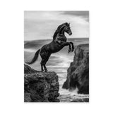 Rearing Horse Coastal Wall Decor – Black and White Seaside Cliff Print