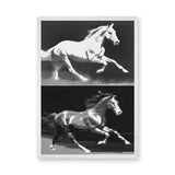 Running Horses Pop Art Wall Art Print – Black and White Halftone Duo