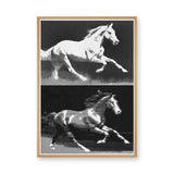 Running Horses Pop Art Wall Art Print – Black and White Halftone Duo