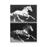 Running Horses Pop Art Wall Art Print – Black and White Halftone Duo