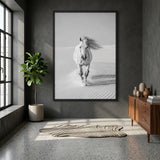 White Horse Desert Photography Modern Wall Decor – Black and White Dunes