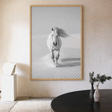 White Horse Desert Photography Modern Wall Decor – Black and White Dunes
