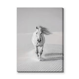 White Horse Desert Photography Modern Wall Decor – Black and White Dunes