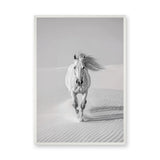 White Horse Desert Photography Modern Wall Decor – Black and White Dunes