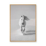 White Horse Desert Photography Modern Wall Decor – Black and White Dunes