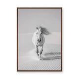 White Horse Desert Photography Modern Wall Decor – Black and White Dunes