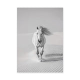 White Horse Desert Photography Modern Wall Decor – Black and White Dunes