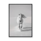 White Horse Desert Photography Modern Wall Decor – Black and White Dunes