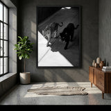 Wild Cat Photography Modern Wall Art Poster – Black Panther and Jaguar Duo