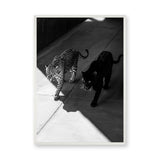 Wild Cat Photography Modern Wall Art Poster – Black Panther and Jaguar Duo