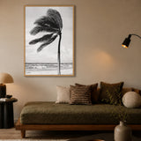 Windblown Palm Coastal Wall Art Poster – Black and White Beach Photograph