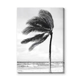 Windblown Palm Coastal Wall Art Poster – Black and White Beach Photograph