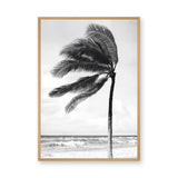 Windblown Palm Coastal Wall Art Poster – Black and White Beach Photograph