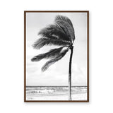 Windblown Palm Coastal Wall Art Poster – Black and White Beach Photograph