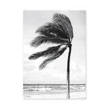 Windblown Palm Coastal Wall Art Poster – Black and White Beach Photograph