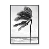 Windblown Palm Coastal Wall Art Poster – Black and White Beach Photograph